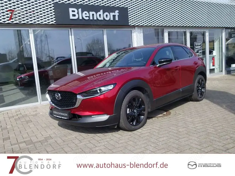 Mazda CX-30 Homura X 186 Automatik 360°|Navigation|Bose|LED