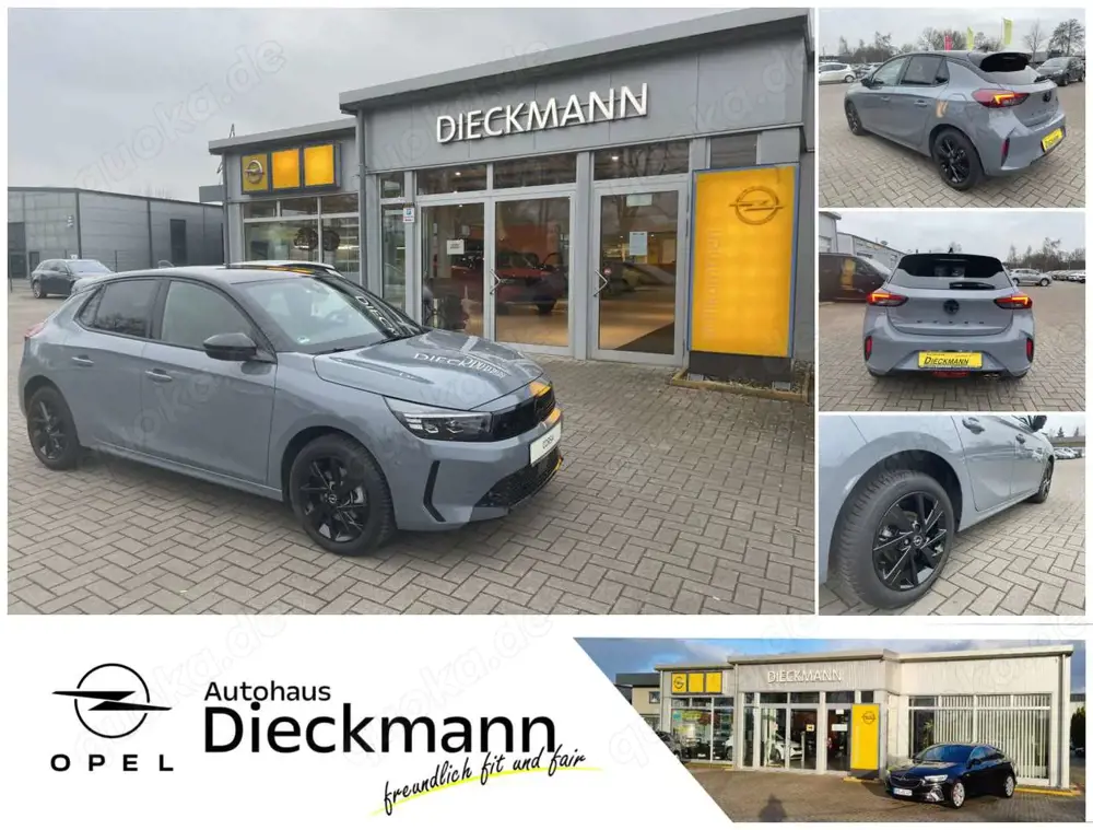 Opel Corsa GS Navi LED-Matrix SHZ RFK LM Allwetter