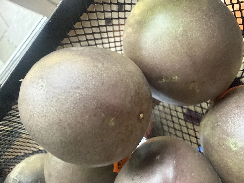 Femboy oder Fem Oder Ftm 