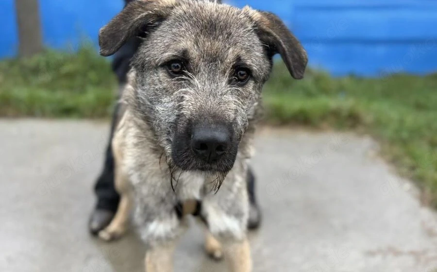 Verliebst du dich in den Hübschen Billy?