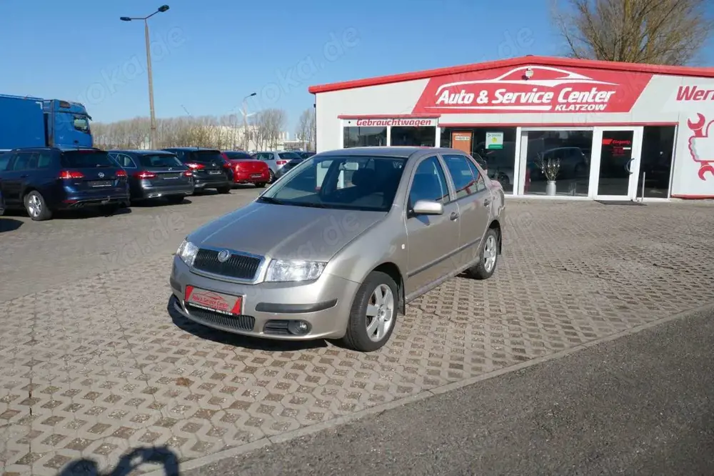 Skoda Fabia 2.0 Ambiente  GANZJAHRESREIFEN