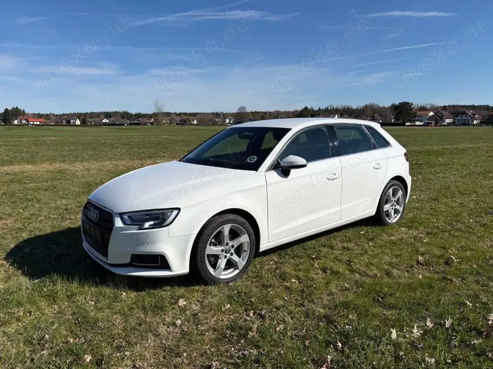 Audi A3 A3 1.6 TDI Sportback S tronic design