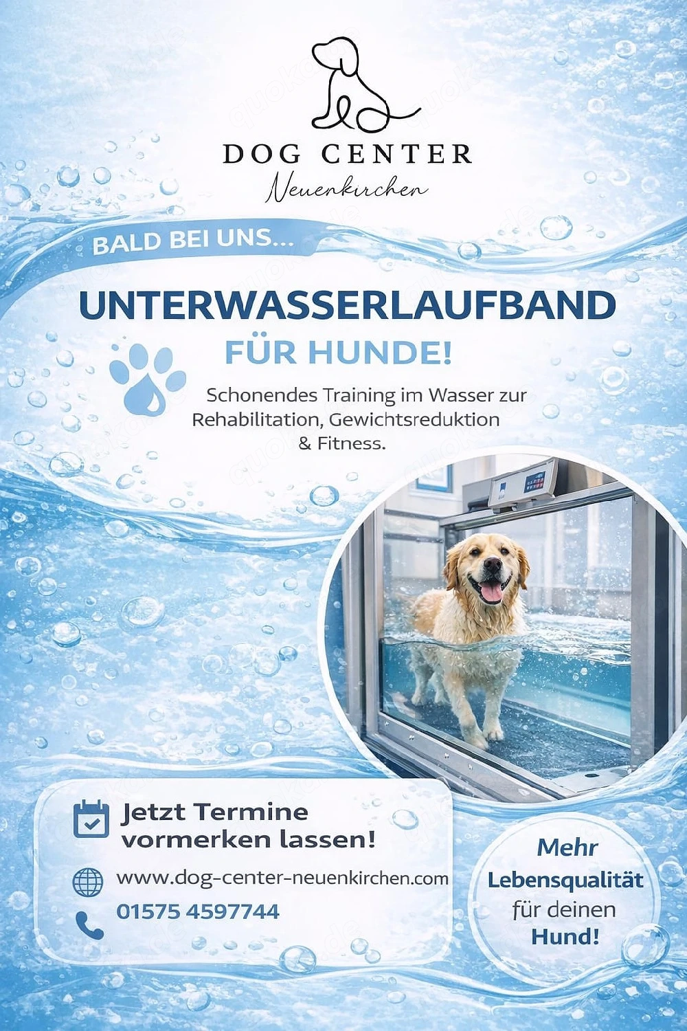 Unterwasserlaufband Angebot 