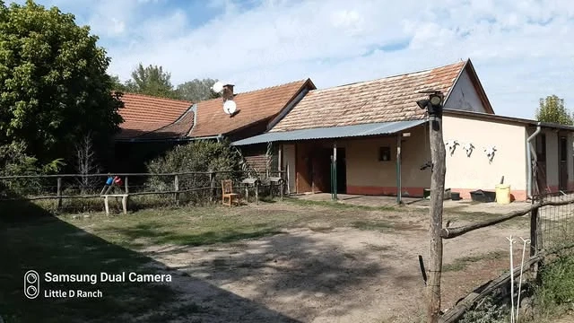 Bauernhaus mitten im Wald Ungarn
