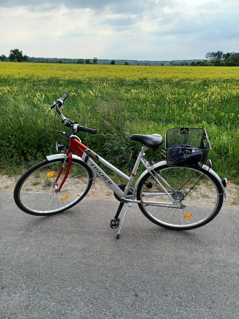 Damenfahrrad  28 Zoll 