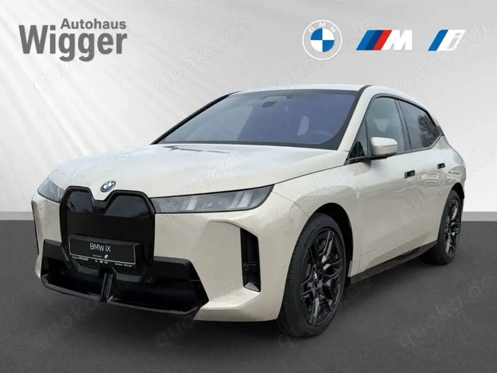 BMW iX xDrive45/M-Sportpaket/HUD/StandHZG/AHK-el. klappb.