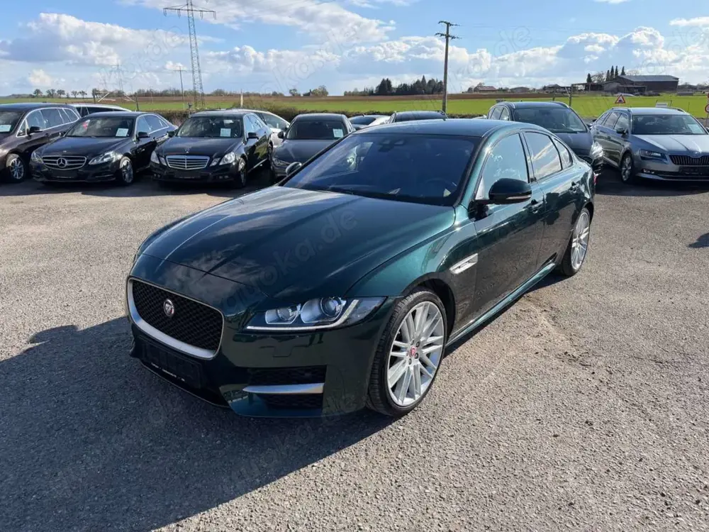 Jaguar XF 30d 300PS R-Sport Automatik Matric Head ACC