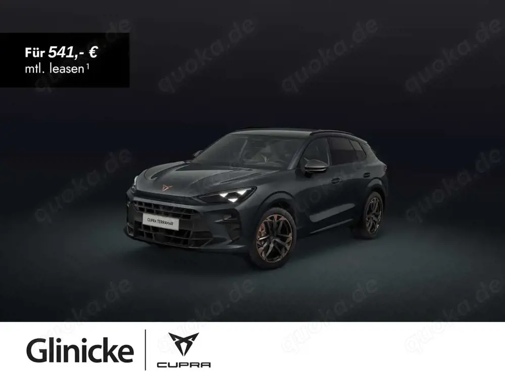 CUPRA Terramar 2.0 TSI DSG VZ 4Drive Akebono Pano