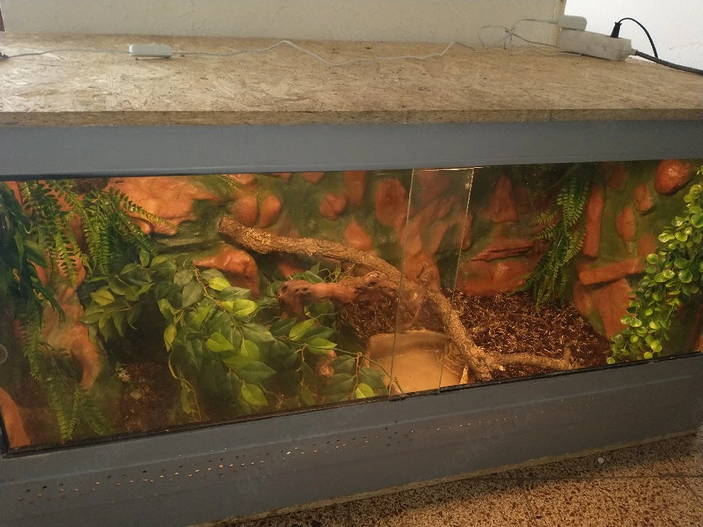 terrarium 120 tausch gegen ableger 