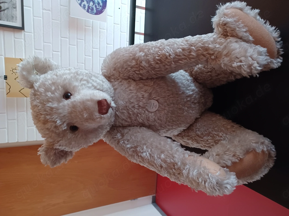 STEIFF Teddy, Replica 1908, 65 cm