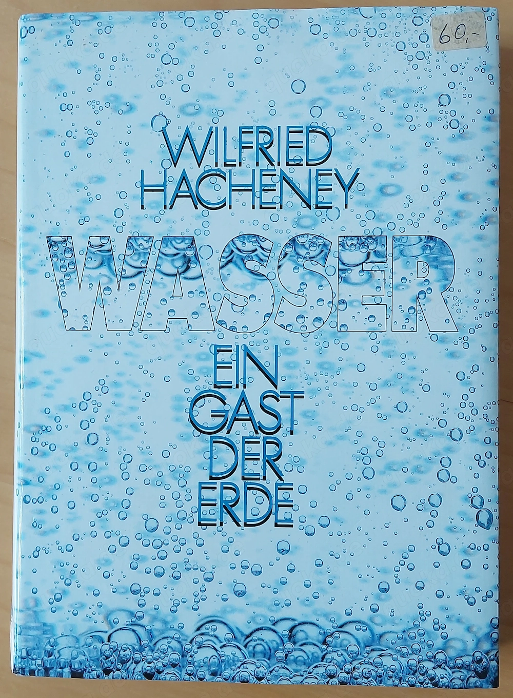 W. Hacheney - Ein Gast der Erde