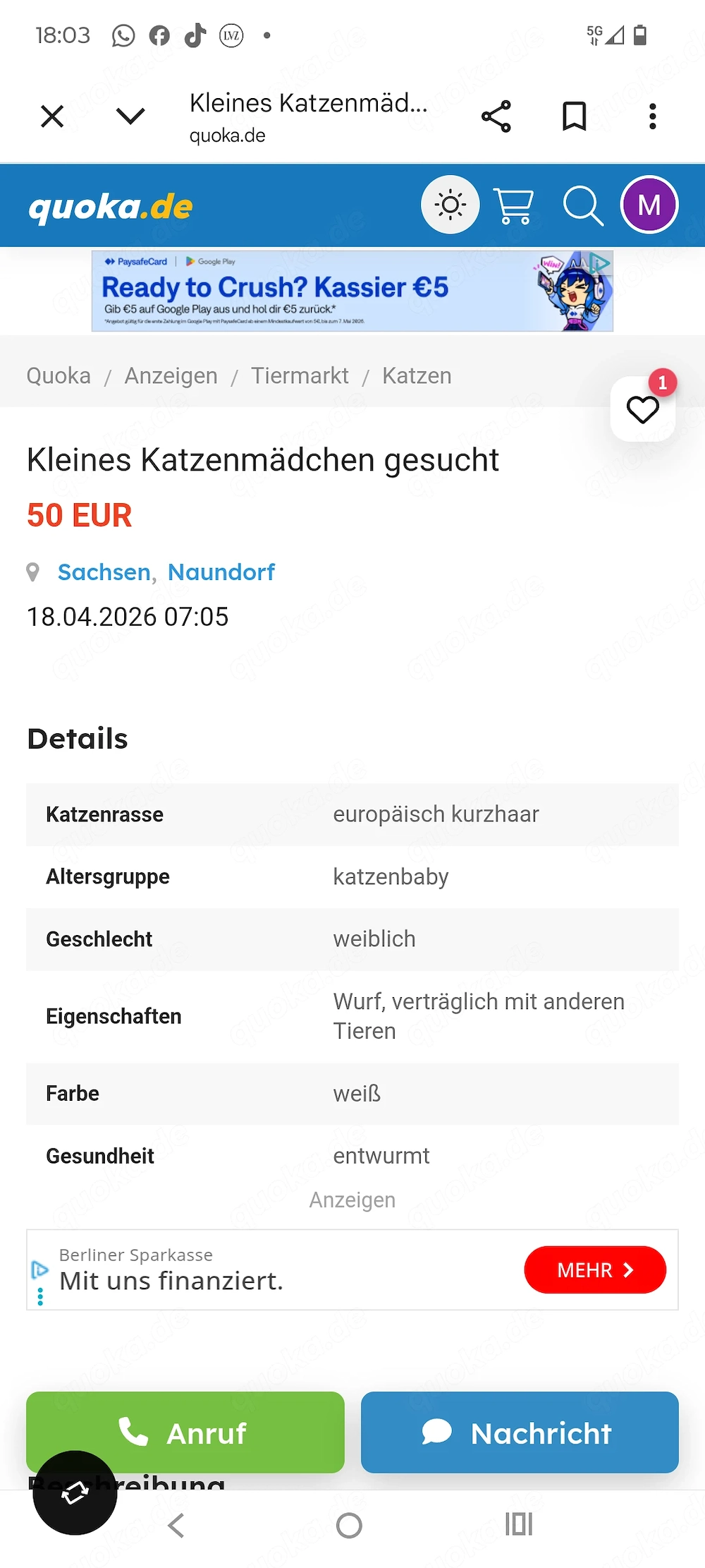 Warnung bitte Dringend Lesen.