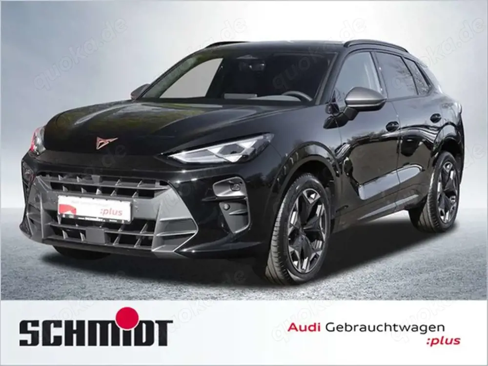 CUPRA Terramar 2.0 TSI 4Drive VZ AHK ACC SHZ LED Kamera LM19 M...