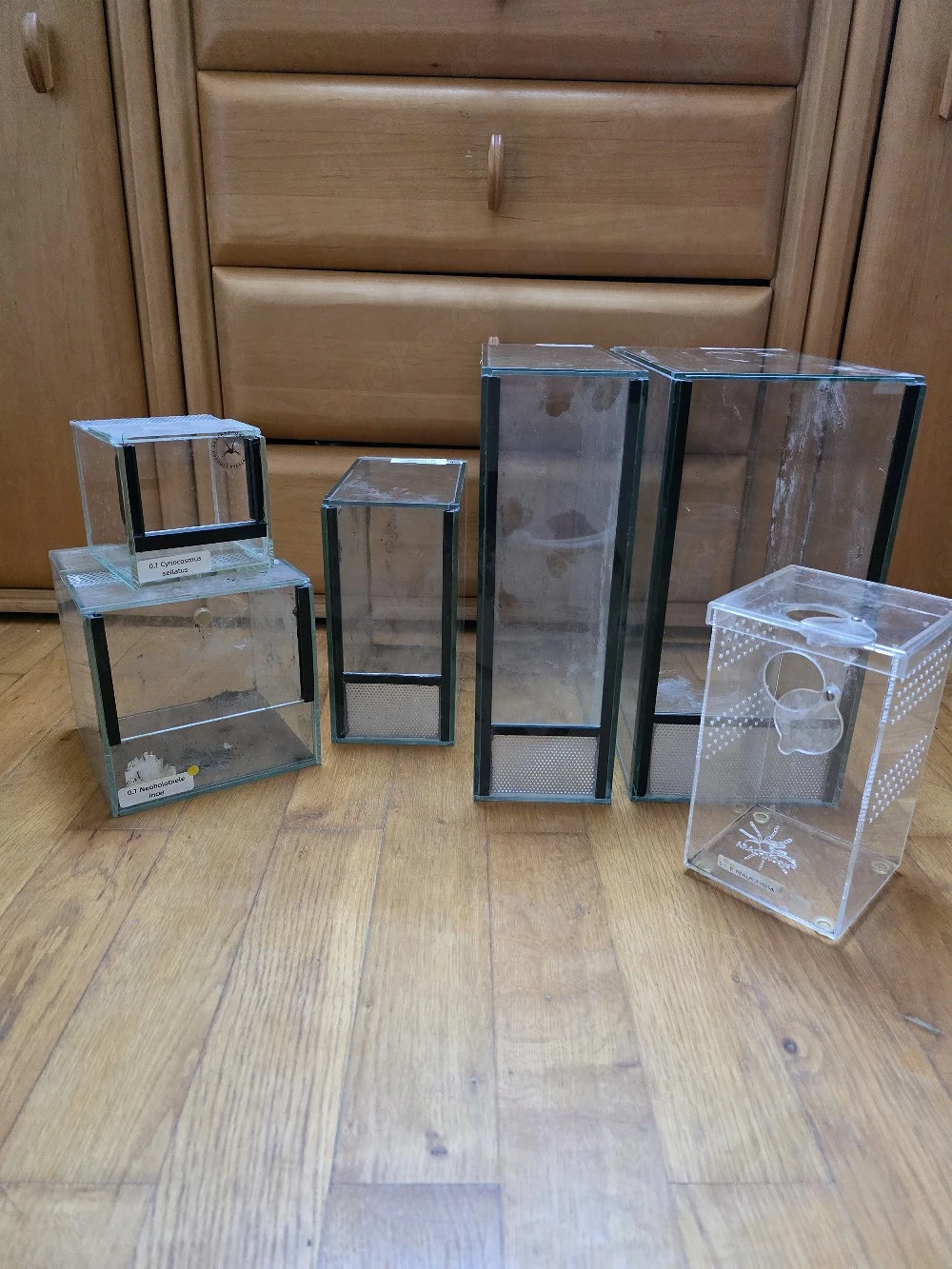 Terrarien und Haplotanks 