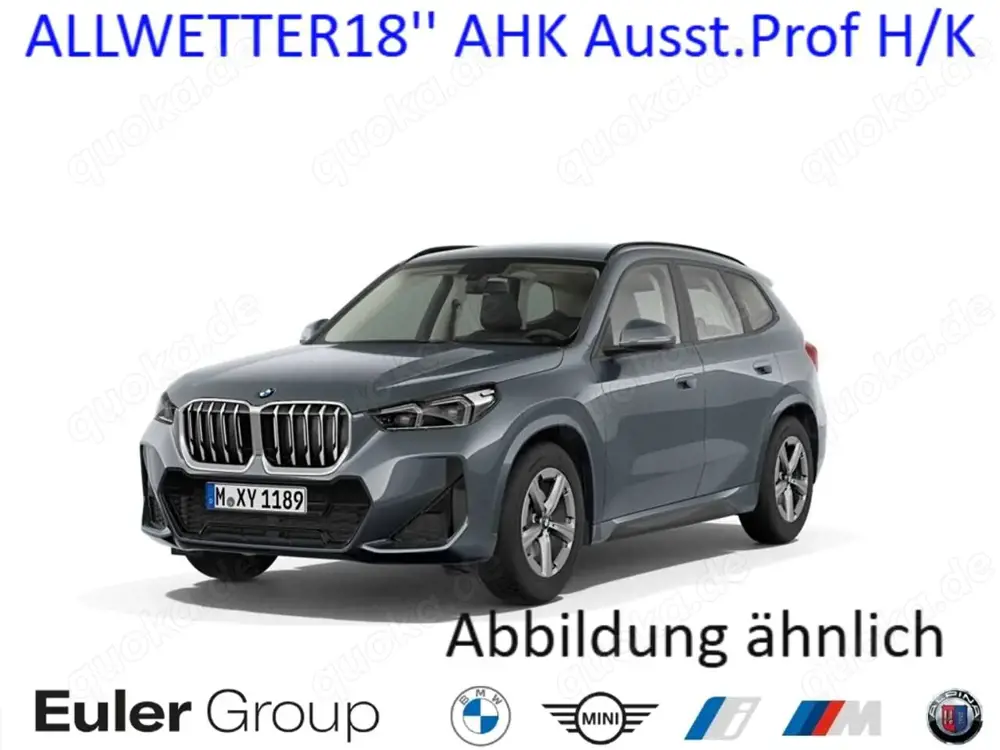 BMW X1 20d x M-Sport ALLWETTER18'' AHK Ausst.Prof H/K HUD