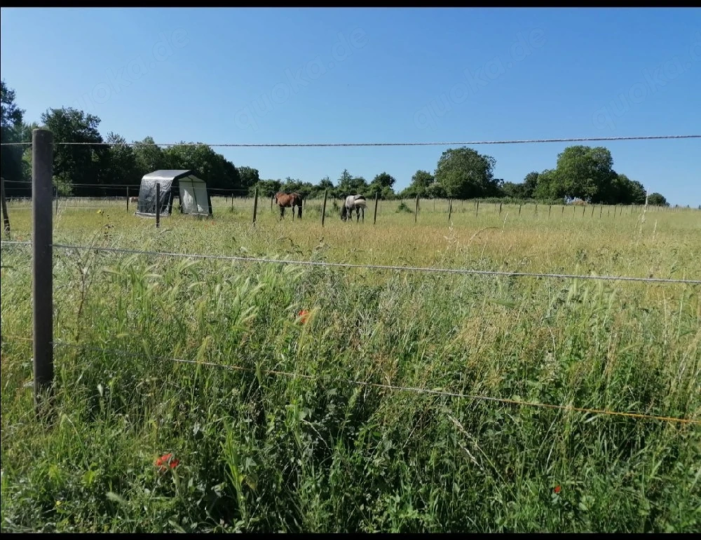 Schöne große Box zum 01.06. frei 