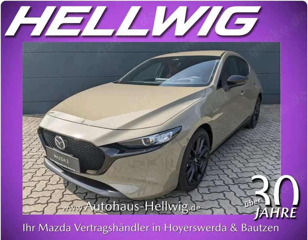 Mazda 3 2.5l (140PS) Nagisa Teilleder Bose Navi NEU