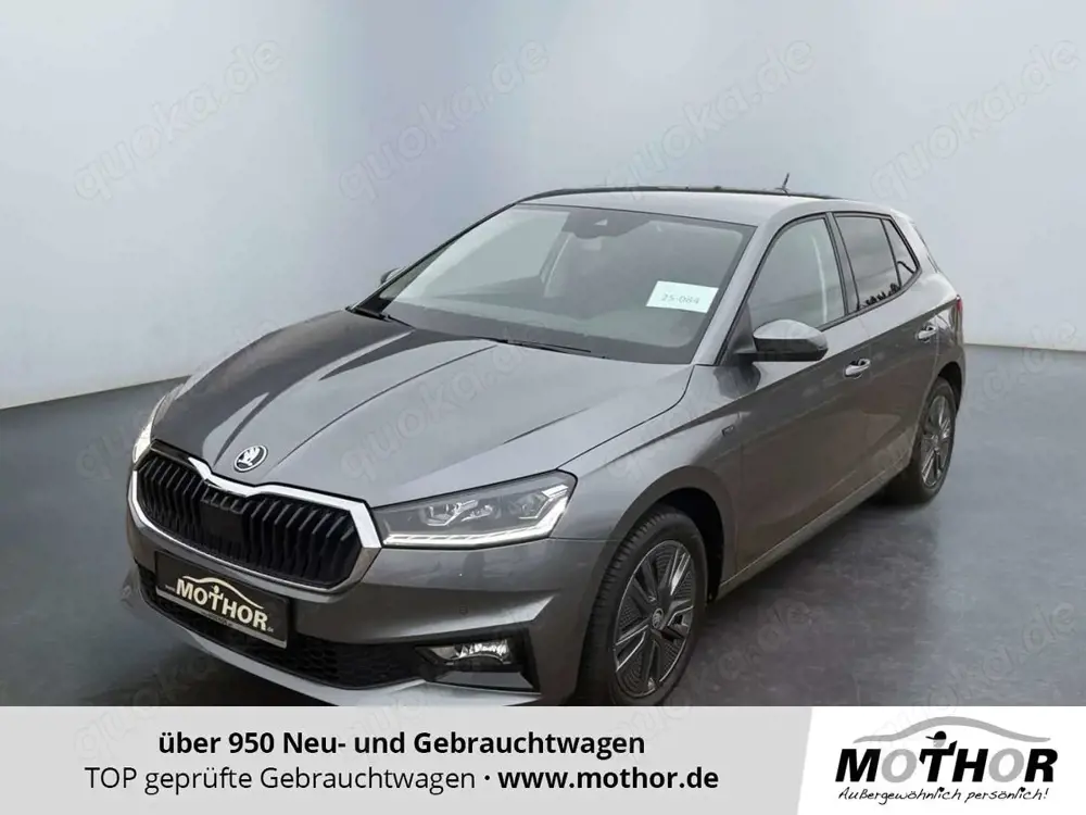 Skoda Fabia Tour 1.0 TSI DSG Climatronic Sitzheiz. LED