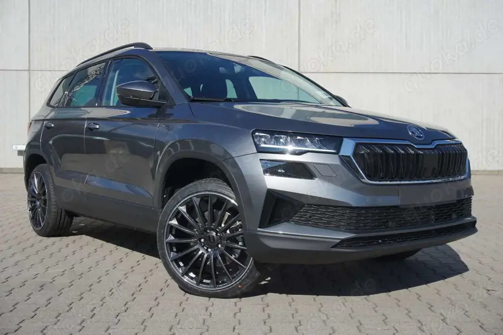 Skoda Karoq 2.0TDI DSG 4x4 Navi/Mirrorl AHK Kamera 19"