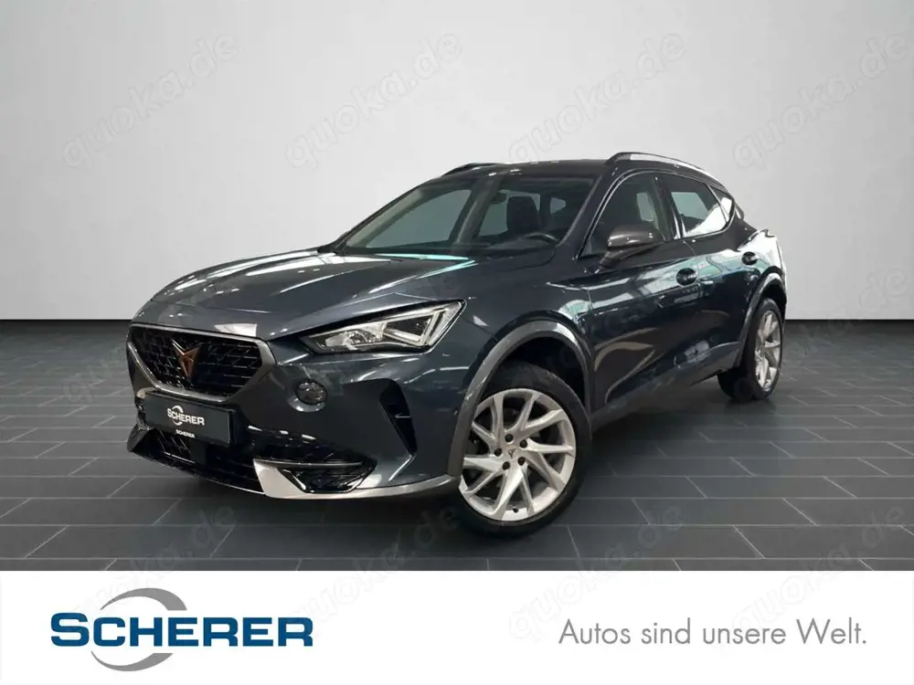 CUPRA Formentor 4Drive 2.0 TDI DSG CarPlay Rückfahrkam