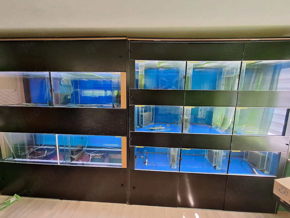 Aquarium  Zucht Anlage "komplett oder einzeln"