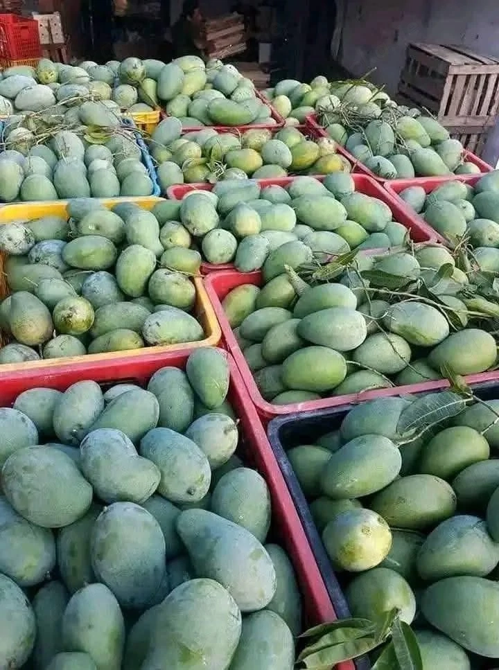 Frische indische Früchte   Mango, Amla & mehr Direkt verfügbar