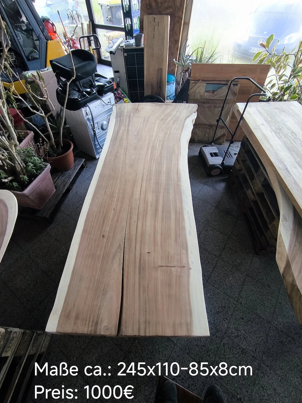 Tischplatte Tisch Esstisch Schreibtisch Konferenztisch massiv Suar Holz Baumkante Bohle Baumscheibe