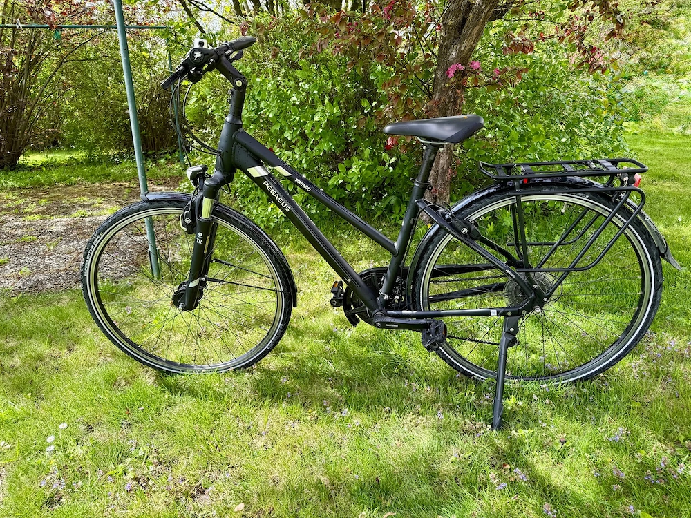Fahrrad Pegasus Premio CL Comfort Size 45 cm, Damen, universal