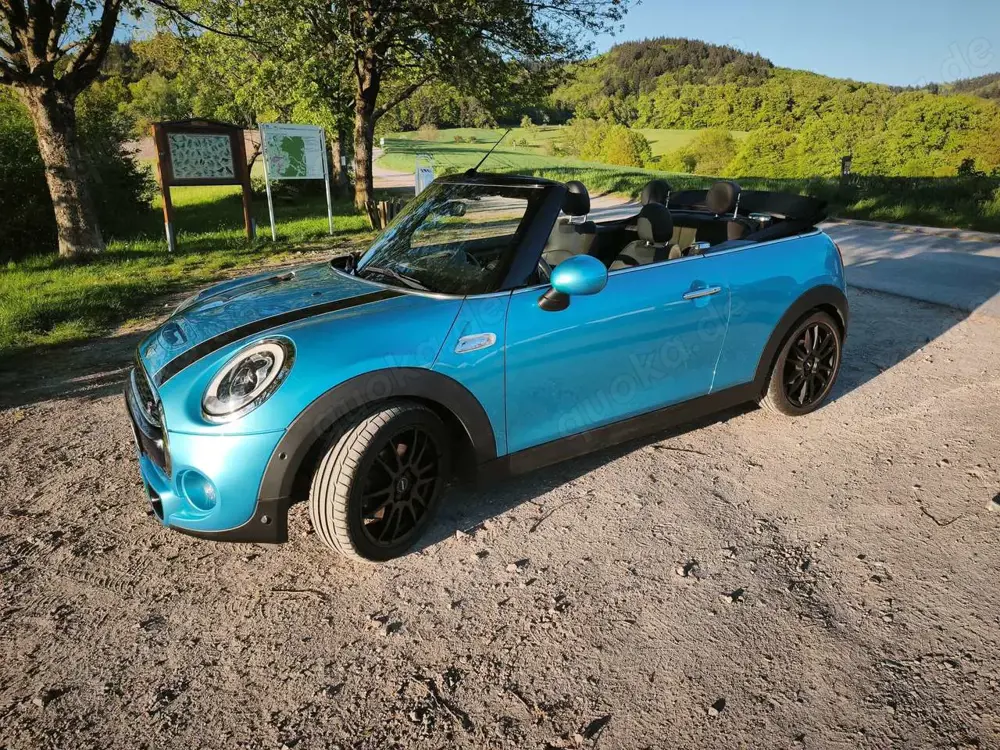 MINI Cooper S Cabrio Mini Cooper S Cabrio Leder Alcantara Navi Sport LED