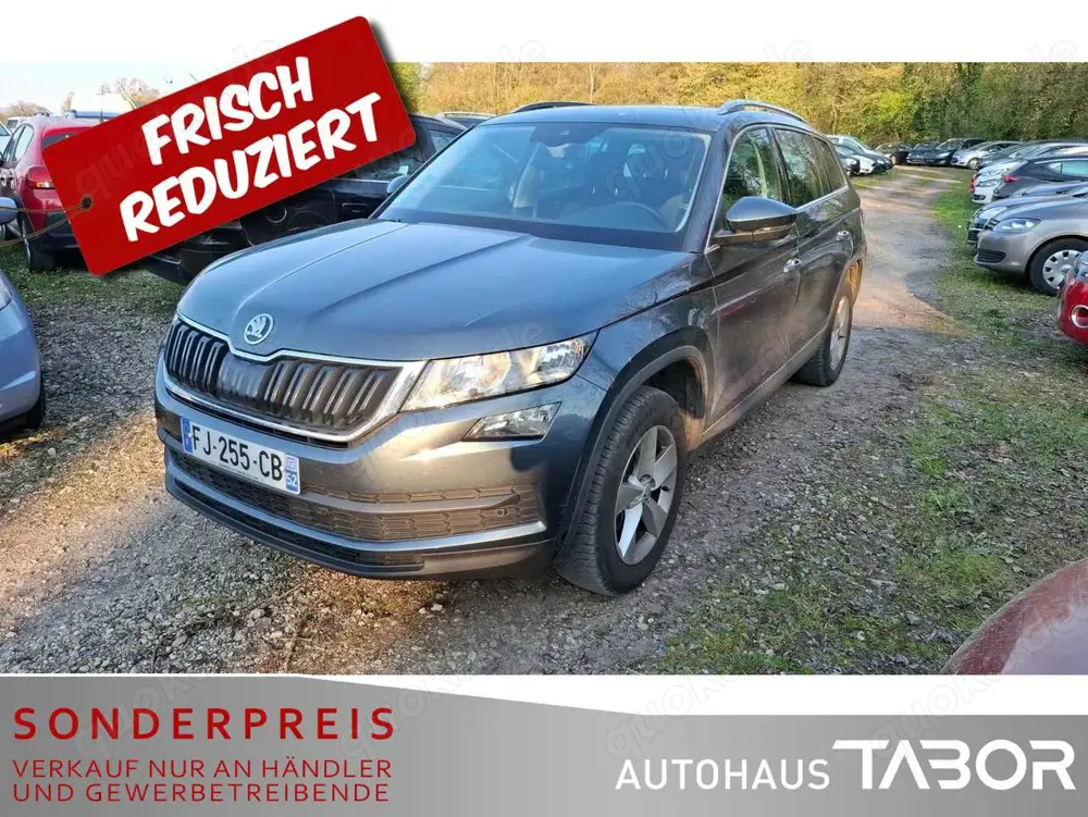 Skoda Kodiaq 2.0 TDI Ambition 4x4 Pano 5S Kamera PDC