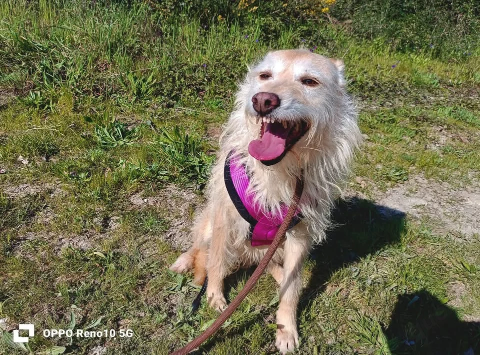Die sanfte WHITNEY    sucht  ihre Herzensmenschen