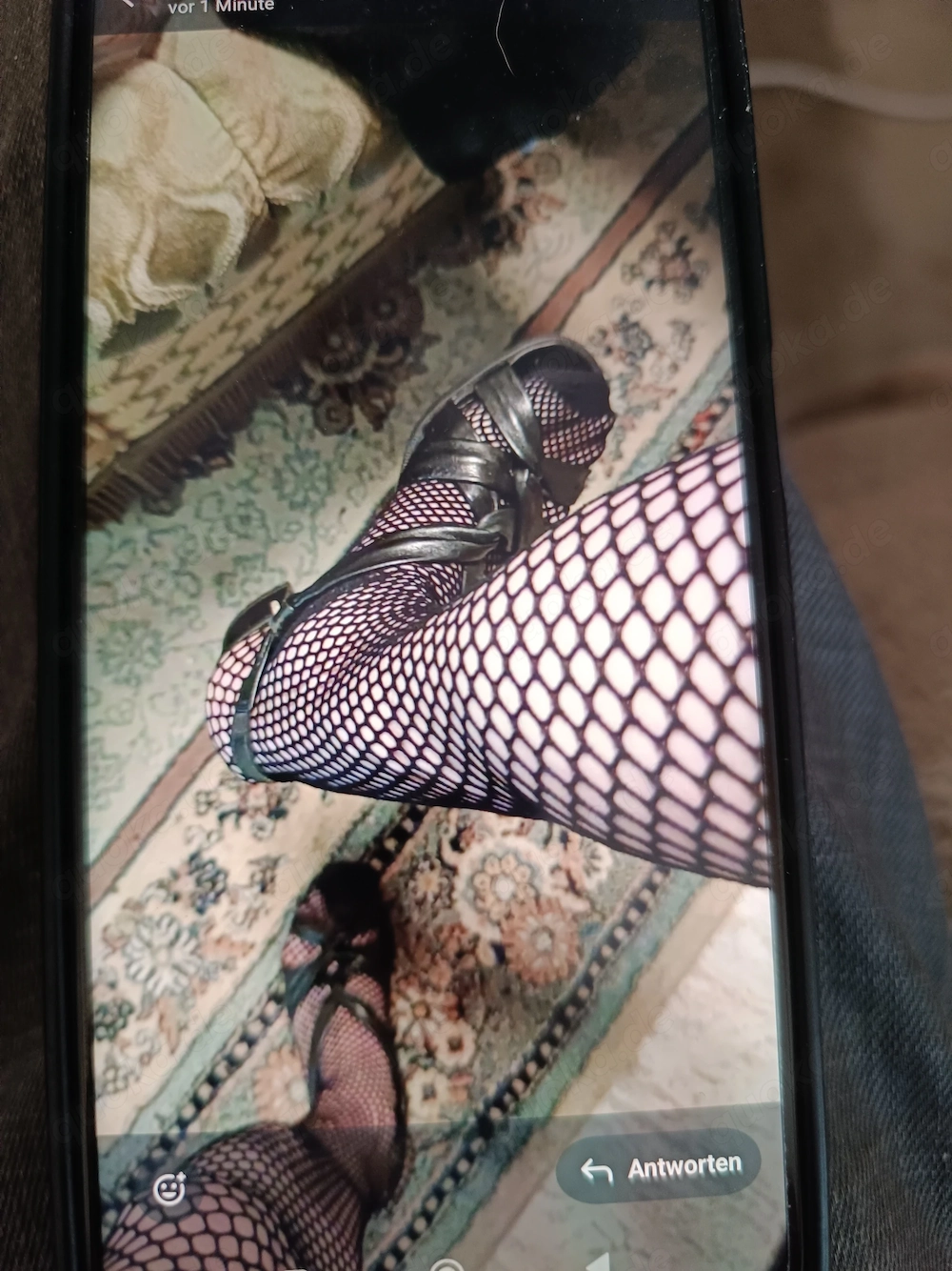 Suche nette Domina,auchTrans,DWT ...