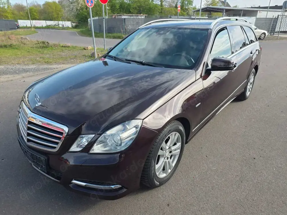 Mercedes-Benz E 250 E T-Modell E 250 BlueEfficiency