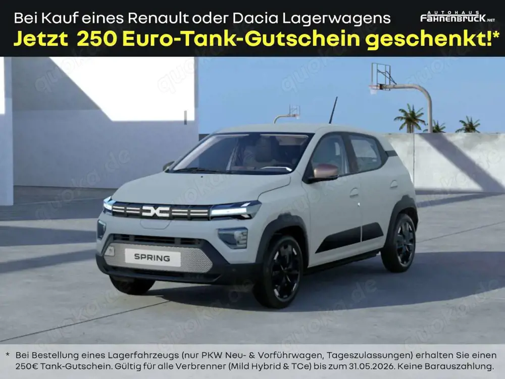 Dacia Spring Extreme electric 100 Navi PDC