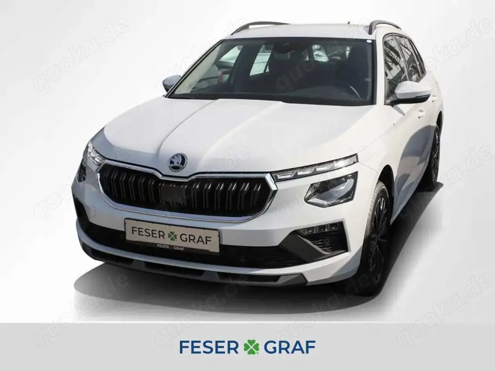 Skoda Kamiq 1.0 TSI Balance DSG ACC RüKa SmartLink