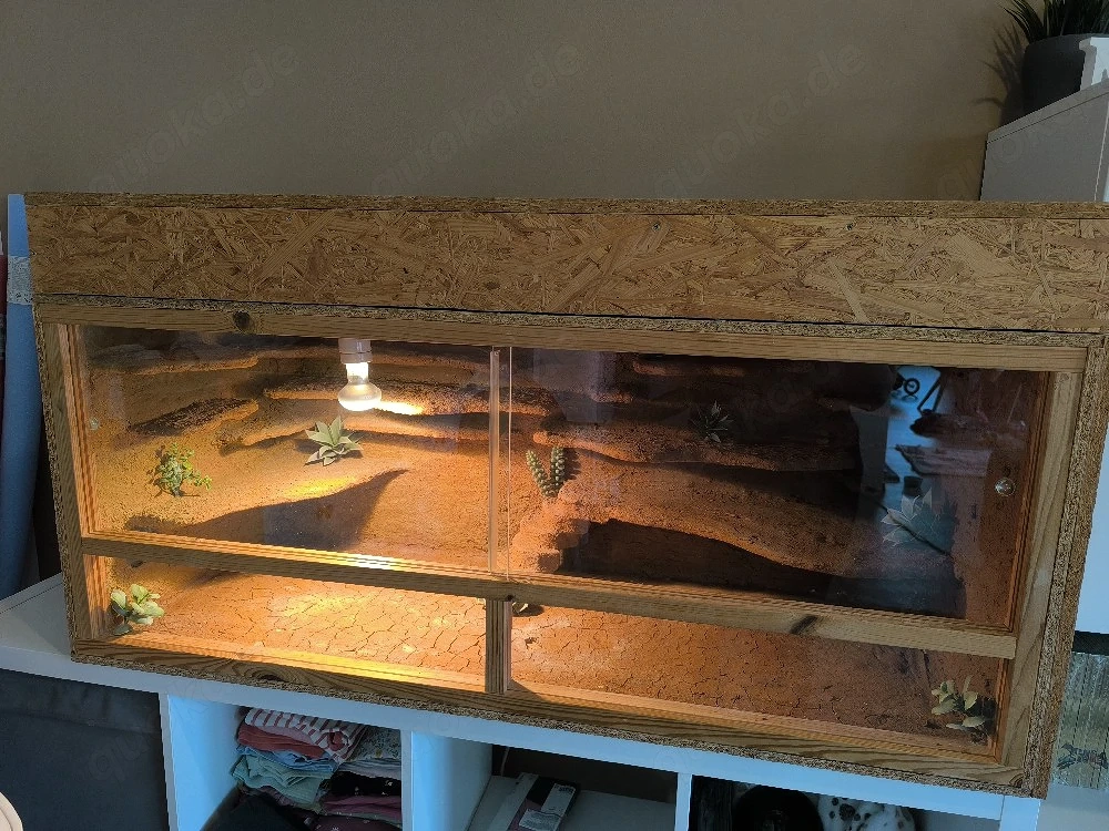 Terrarium 120x50x50 Preis bei Abholung heute (So.  ) bis 19:30 Uhr 