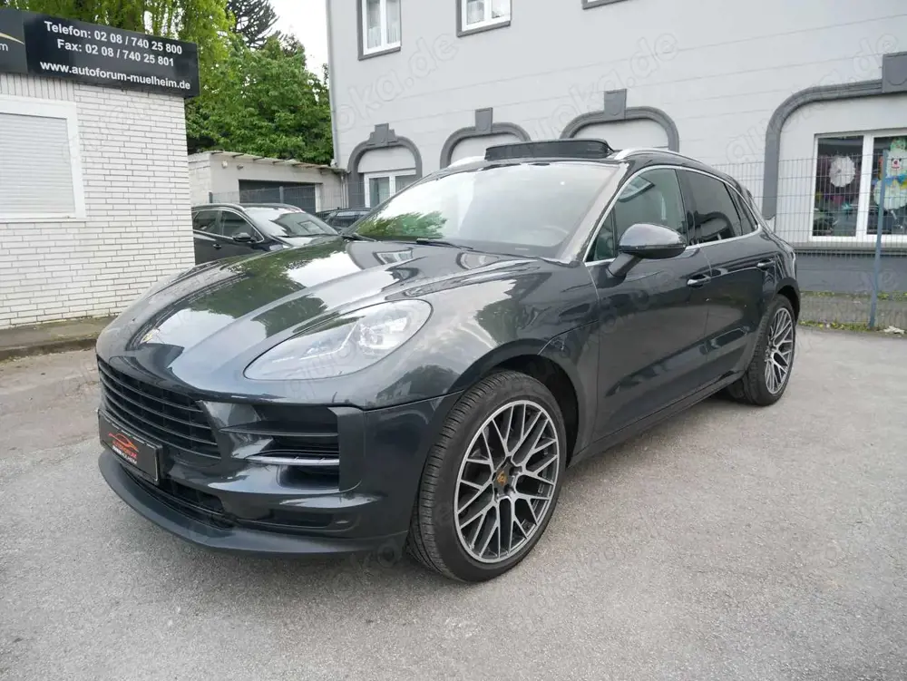 Porsche Macan Basis LED Sport Design Pano Luftfed. Bose Spur Kam