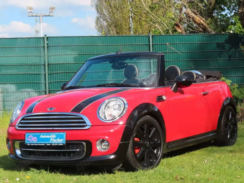 MINI Cooper Cabrio    "Blickfang"