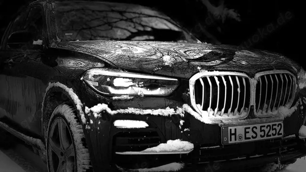 BMW X5 X5 xDrive30d