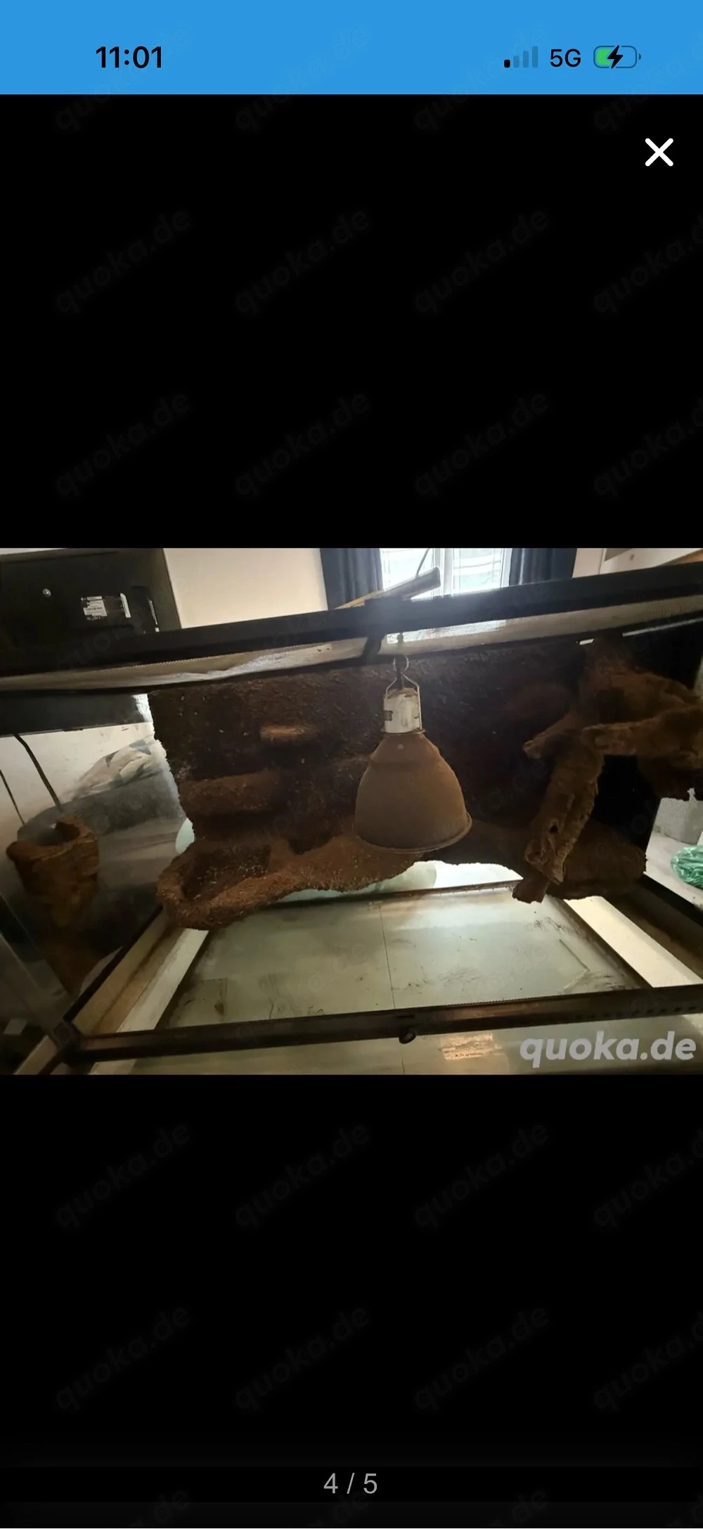Exo Tera Paledarium 