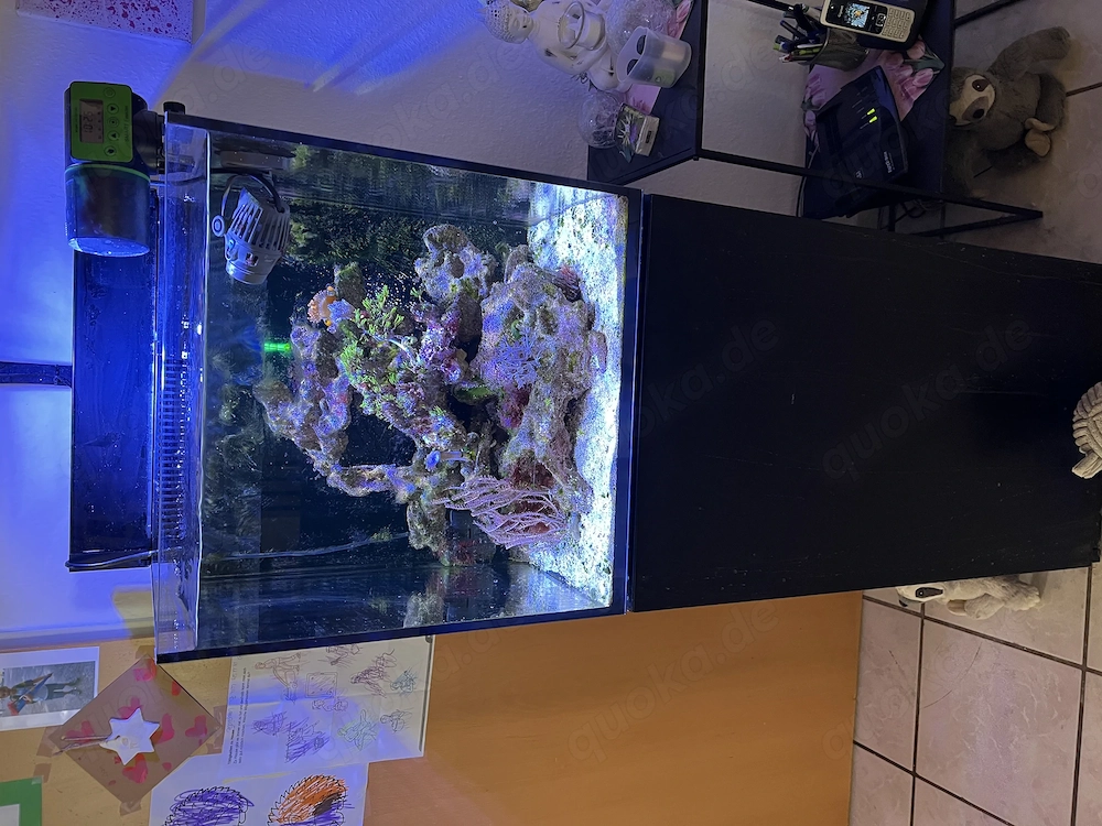 !!! Angebot bis zum WE 400  !!!Meerwasser Aquarium Red Sea Nano G1, 75 L mit Inhalt und viel Zubehör