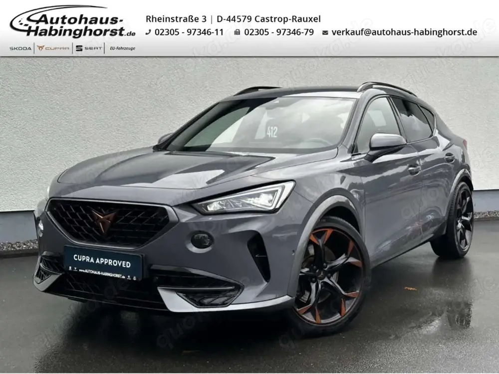 CUPRA Formentor 2.0 TSI DSG 4Drive VZ ACC DCC Navi PDC Kamera 19Al