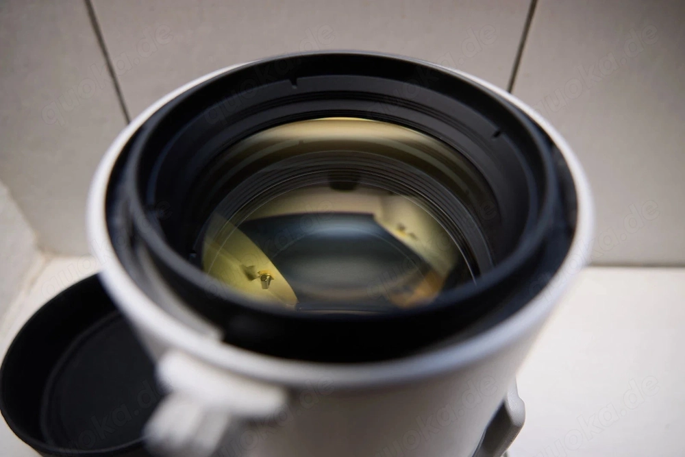 CANON EF 300MM F_2.8L IS II USM Objektiv in Top Zustand! Einwandfreie Funktion