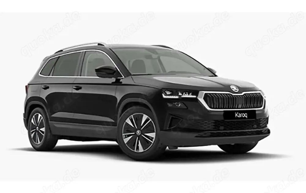 Skoda Karoq Extra Plus 150 PS Schaltg. Induktionsladen, Kamera