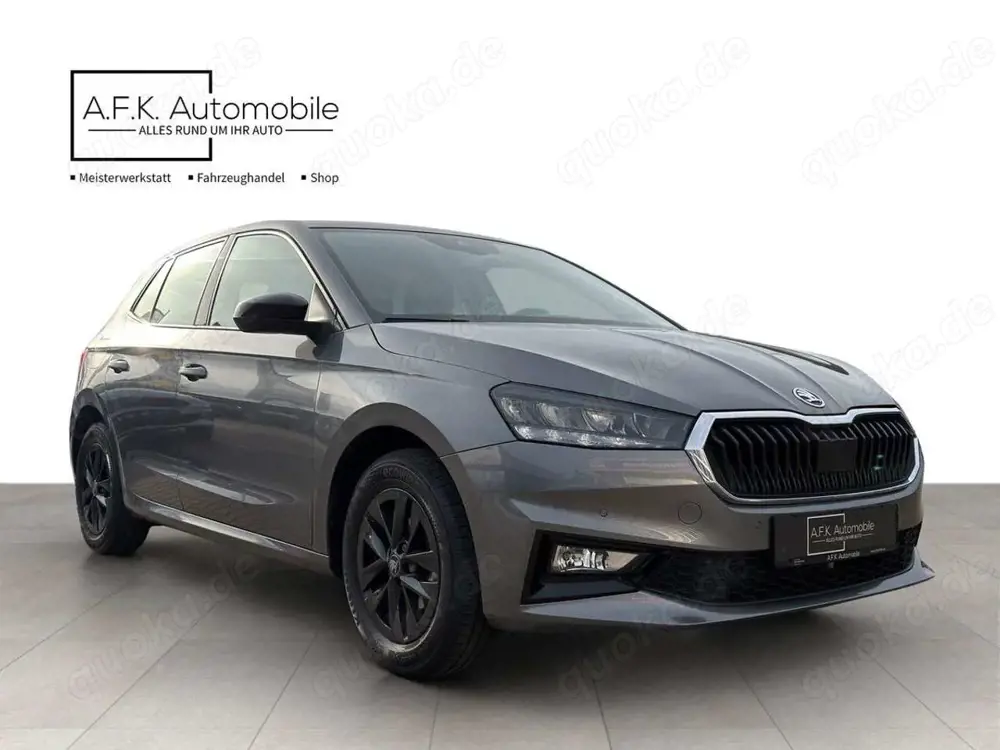 Skoda Fabia 1.0 TSI | YOUNG EDITION | CARPLAY | RFK |