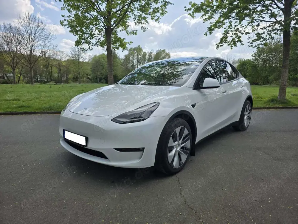 Tesla Model Y Model Y Long Range Dual Motor AWD