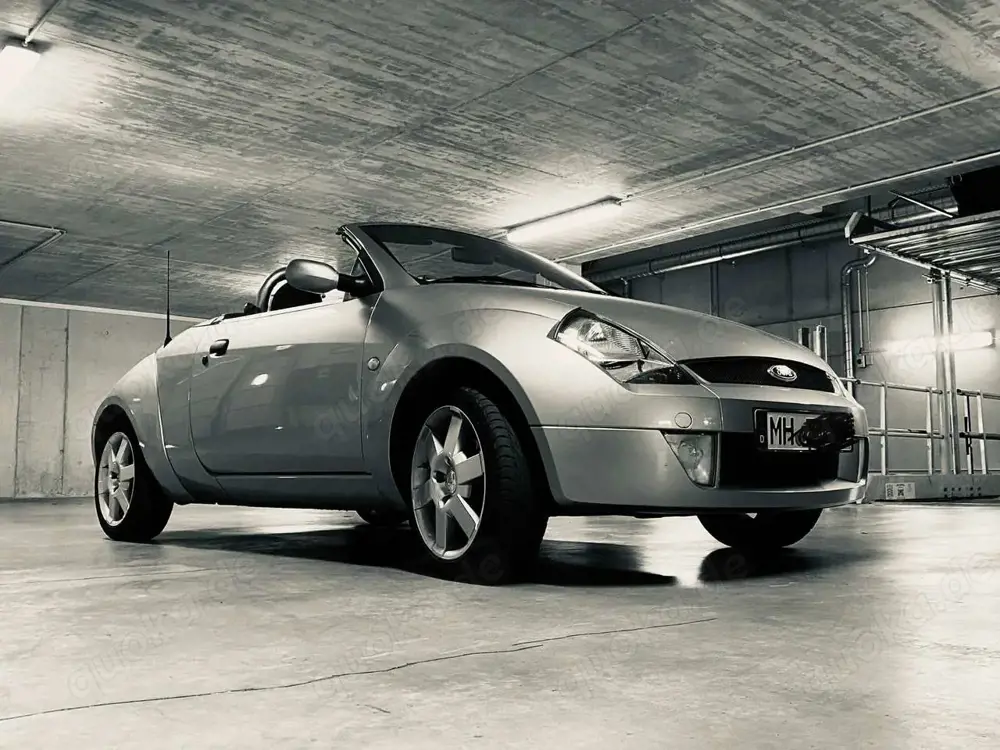 Ford Streetka Streetka 1.6 8V Elegance