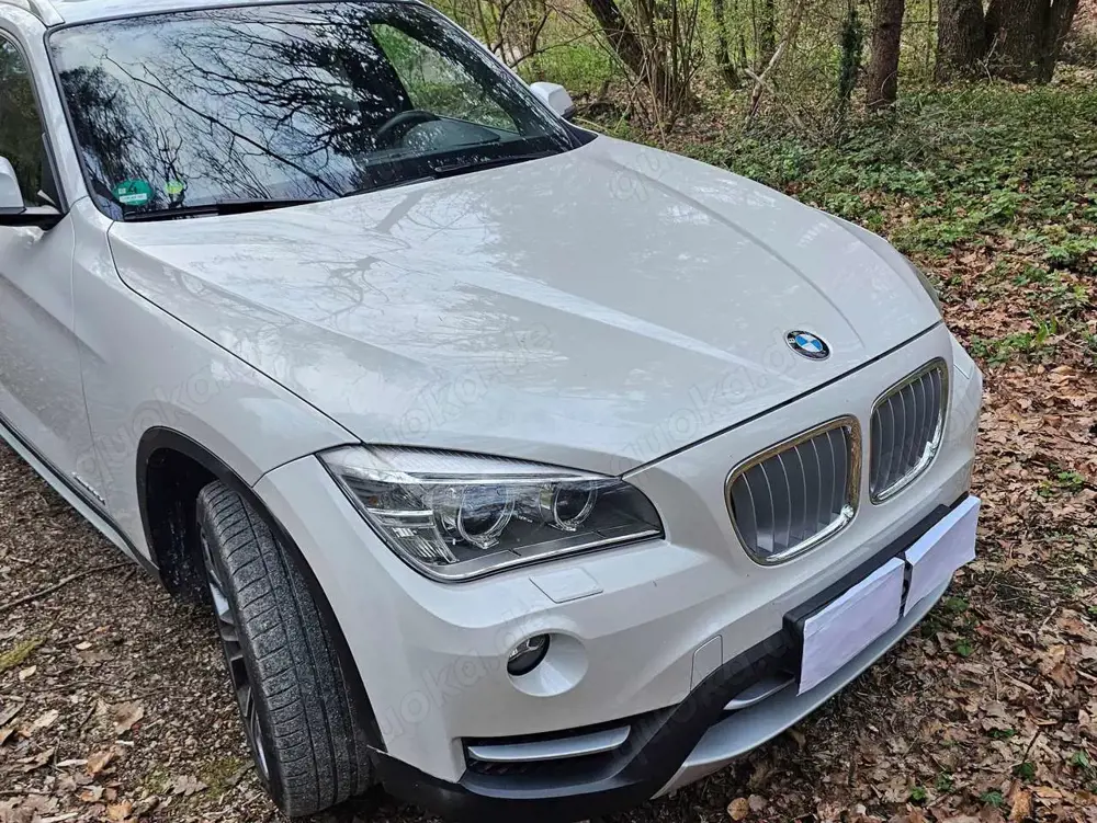 BMW X1 X1 xDrive25d Aut. xLine