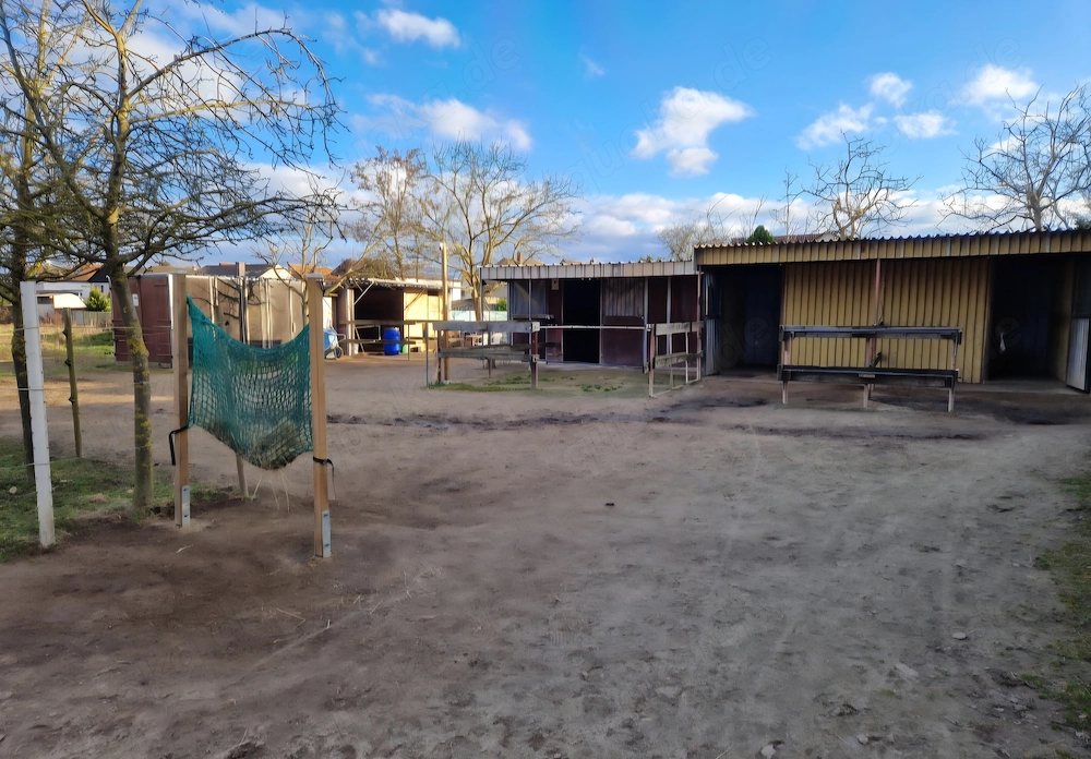 Offenstallplatz für Pony oder Kleinpferd frei