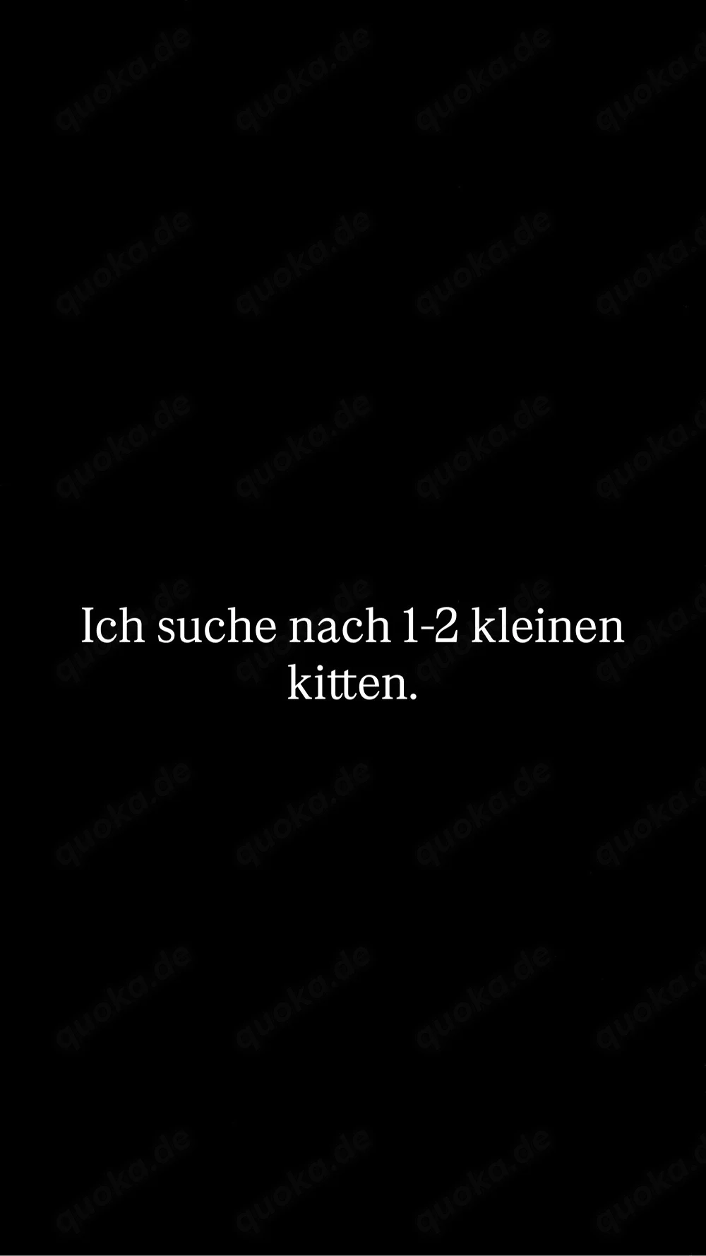 Liebevolles Zuhause sucht 1-2 Kitten